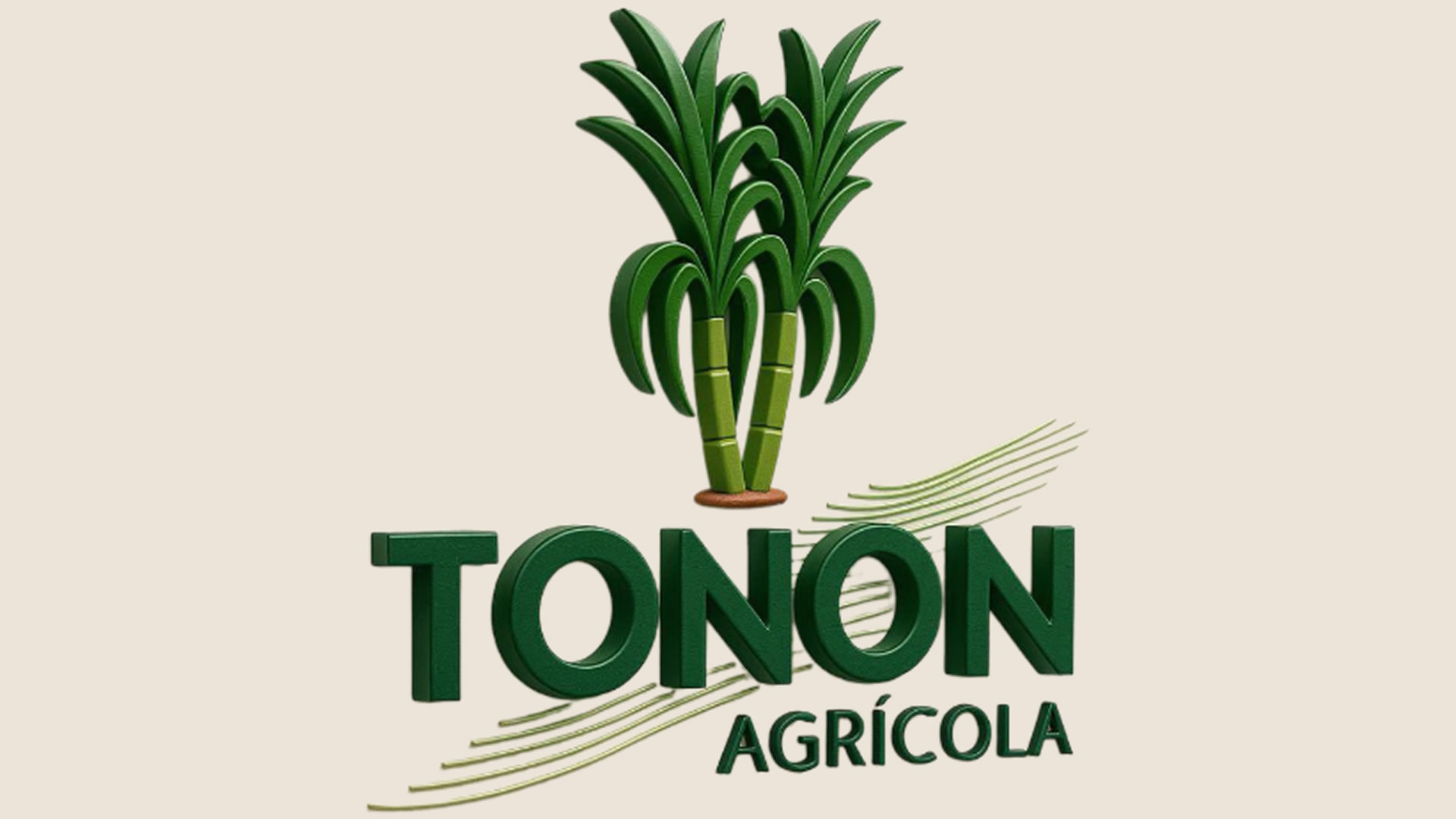 TELA PATROCINIO TONON.jpg